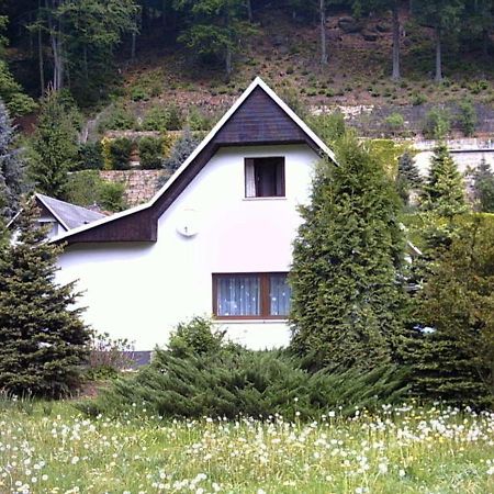 Ferienhaus Greti Stadt Wehlen Dış mekan fotoğraf